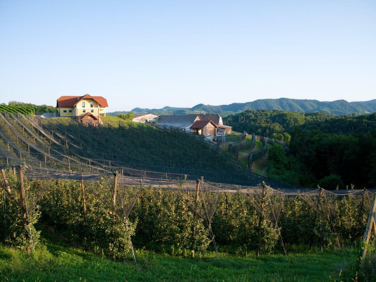 Holiday Home Winzerhaus Eva Spicnik Exterior photo